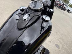 2017 HARLEY-DAVIDSON FLSS SOFTAIL SLIM S Black