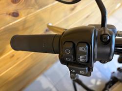 2022 HARLEY-DAVIDSON FLHCS HERITAGE CLASSIC 114