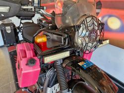 2021 Royal Enfield HIMALAYAN REBEL RED