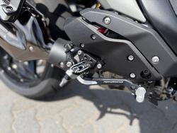 2025 BMW R 1300 R Performance R 1300 White