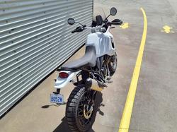 2025 Ducati Desert X Desert X White