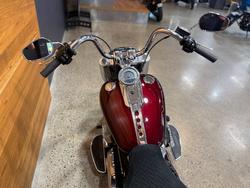 2021 HARLEY-DAVIDSON FLFBS FAT BOY (114)