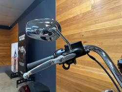 2021 HARLEY-DAVIDSON FLFBS FAT BOY (114)