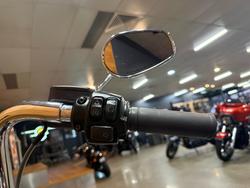 2021 HARLEY-DAVIDSON FLFBS FAT BOY (114)