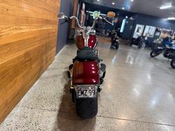 2021 HARLEY-DAVIDSON FLFBS FAT BOY (114)