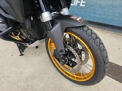 2025 BMW Motorrad R 1300 GS ADVENTURE OPTION 719 Green