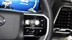 2026 LDV Terron 9 Evolve