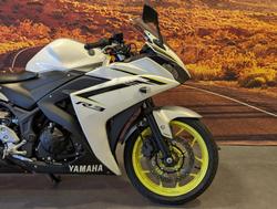 2019 Yamaha YZF-R3 R3 White