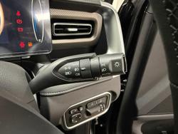 2025 GWM Cannon Vanta NPW 4X4 Dual Range Crystal Black