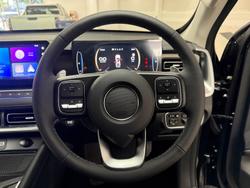 2025 GWM Cannon Vanta NPW 4X4 Dual Range Crystal Black