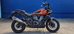 Harley-Davidson RA1250S PAN America Special