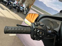 2025 HARLEY-DAVIDSON FLHX STREET GLIDE (117)