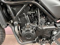 2024 HARLEY-DAVIDSON HD500-10A H-DX X500