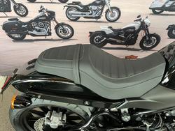 2024 HARLEY-DAVIDSON HD500-10A H-DX X500