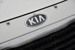 2019 Kia Carnival