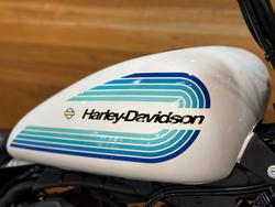 2018 HARLEY-DAVIDSON XL1200NS IRON 1200
