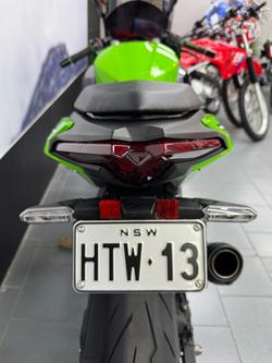 2025 Kawasaki Ninja 500 SE KRT Edition (EX500J) Ninja Green