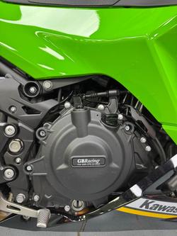 2025 Kawasaki Ninja 500 SE KRT Edition (EX500J) Ninja Green