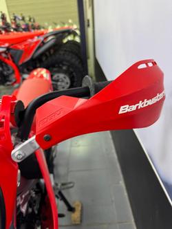 2025 Honda CRF110F CRF Red