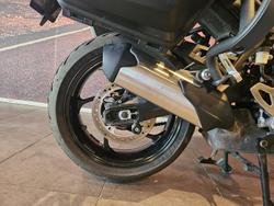 2025 Triumph Tiger Sport 800 Tiger