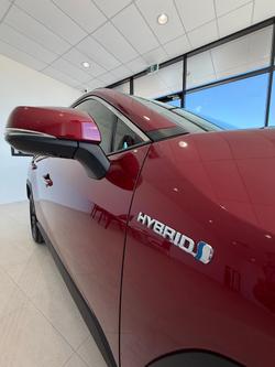 2020 Toyota RAV4 Cruiser