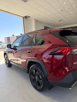 2020 Toyota RAV4 Cruiser