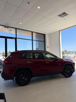 2020 Toyota RAV4 Cruiser