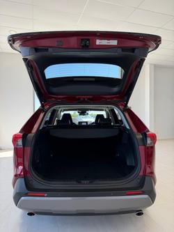 2020 Toyota RAV4 Cruiser