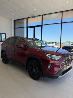 2020 Toyota RAV4 Cruiser