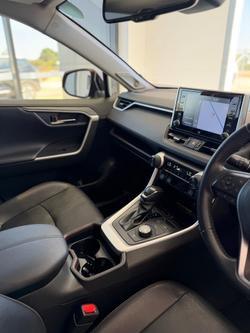 2020 Toyota RAV4 Cruiser