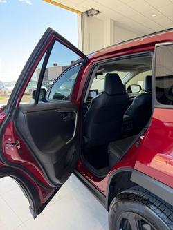 2020 Toyota RAV4 Cruiser