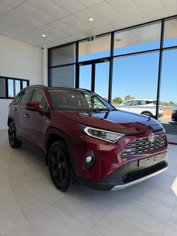 2020 Toyota RAV4 Cruiser