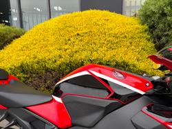 2017 Honda CBR1000RR (FIREBLADE) Red