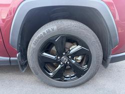 2021 Toyota RAV4 Cruiser