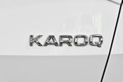 2019 SKODA Karoq 110TSI