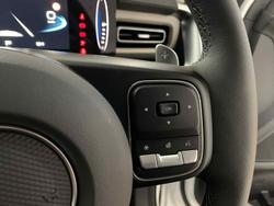 2025 GWM Cannon XSR NPW 4X4 Dual Range Pearl White