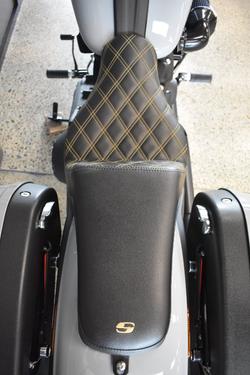 2024 HARLEY-DAVIDSON FXLRST LOW RIDER ST (117)