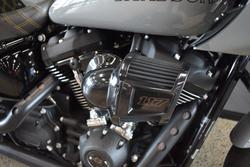 2024 HARLEY-DAVIDSON FXLRST LOW RIDER ST (117)