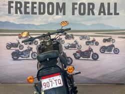 2008 HARLEY-DAVIDSON FXSTB NIGHT TRAIN