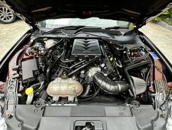 2018 Ford Mustang GT FN MY19 Maroon