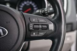 2019 Kia Carnival Platinum