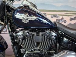 2019 HARLEY-DAVIDSON FLFBS FAT BOY S (114) (SOLID)
