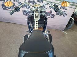 2019 HARLEY-DAVIDSON FLFBS FAT BOY S (114) (SOLID)