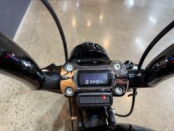 2019 HARLEY-DAVIDSON FXBRS BREAKOUT S (114)
