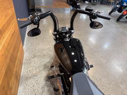 2019 HARLEY-DAVIDSON FXBRS BREAKOUT S (114)