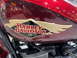 2023 HARLEY-DAVIDSON FLFBSANV FAT BOY S (114) ANNI