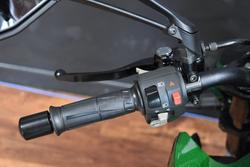 2025 Kawasaki Z1000 Green