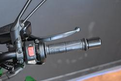 2025 Kawasaki Z1000 Green