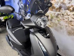 2025 Yamaha D ELIGHT 125 (LTS125-C) Grey