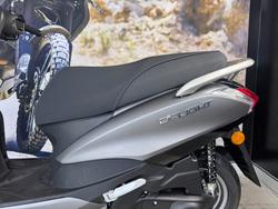 2025 Yamaha D ELIGHT 125 (LTS125-C) Grey